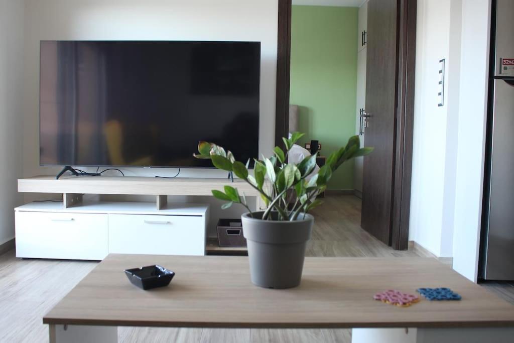 Agnes Apartment Filopappou Athen Eksteriør billede